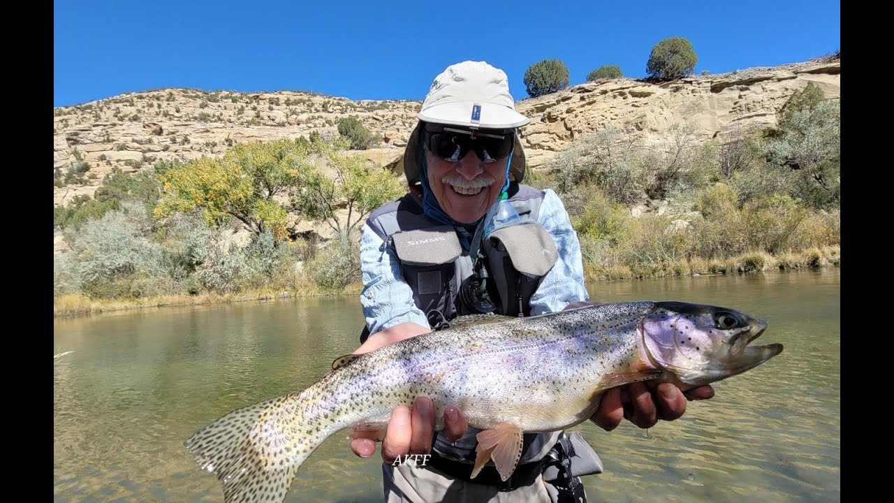 New Fly Fishing Technique When Catching Too Many Oct 2025 San Juan River Tailwater