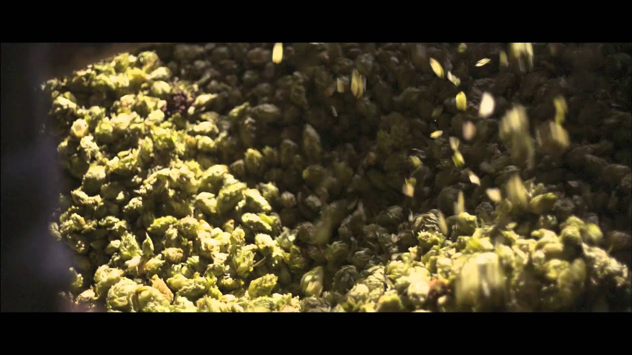 Kornuit van Grolsch - De jongste van Grolsch - Commercial 2014