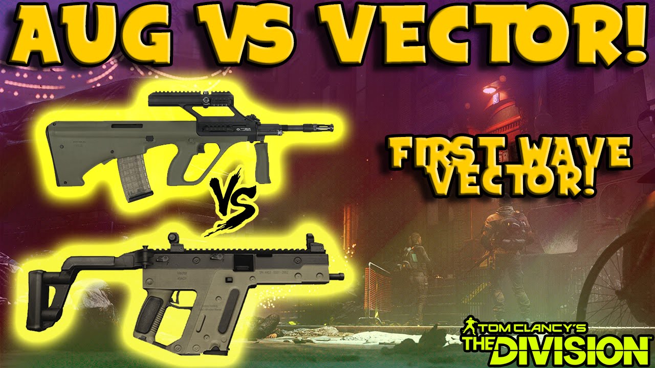 AUG vs VECTOR (The Division) Gun Comparison!