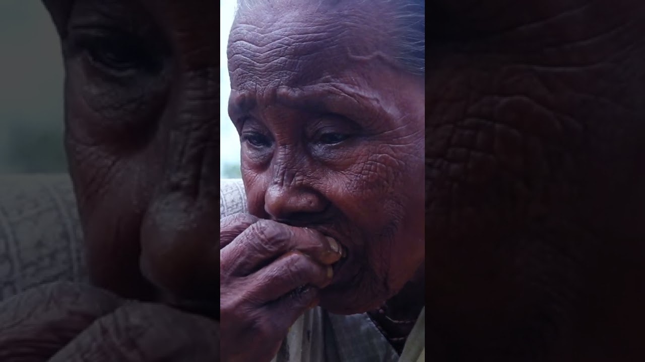 Village aahar | shorts | Chicken recipe | @Village Aahar ​