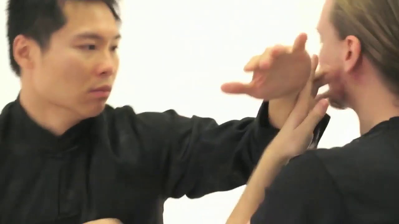 PREVIEW: Leo Au Yeung - Wing Chun - Bundle (MasterClass)