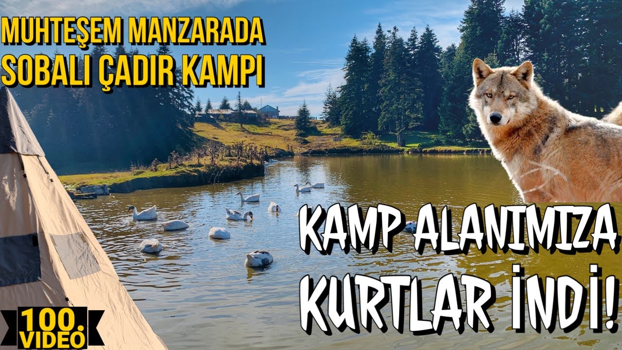 Urumşah Yaylası 'nda Ailecek Sobalı Çadırla Sonbahar Kampı - Kamp Alanımıza Kurt Sürüsü İndi!