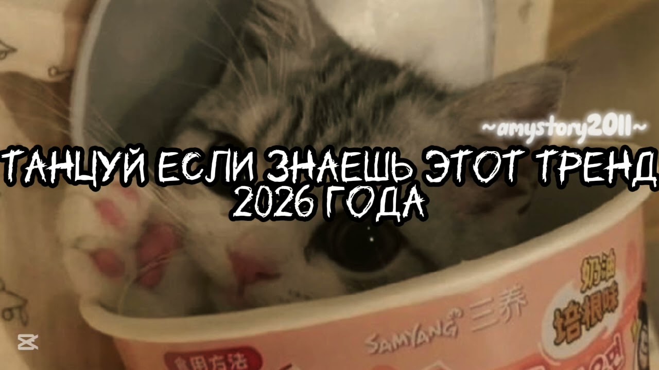 Танцуй если знаешь этот тренд 2026 года #amystory2011 #потрендам #залетипж #тренды #врек #дуэт #2026