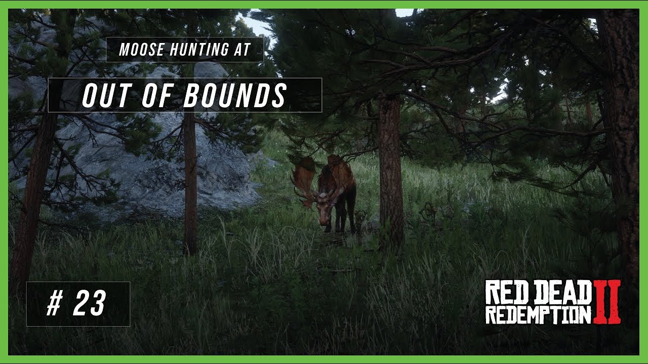 Moose Hunting at Out of Bounds!