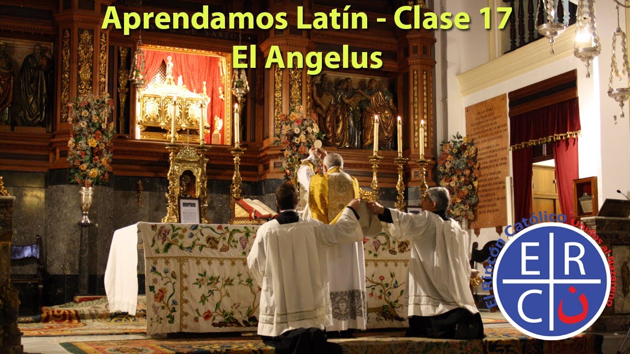 Aprendamos Latín - Ángelus - Clase 17