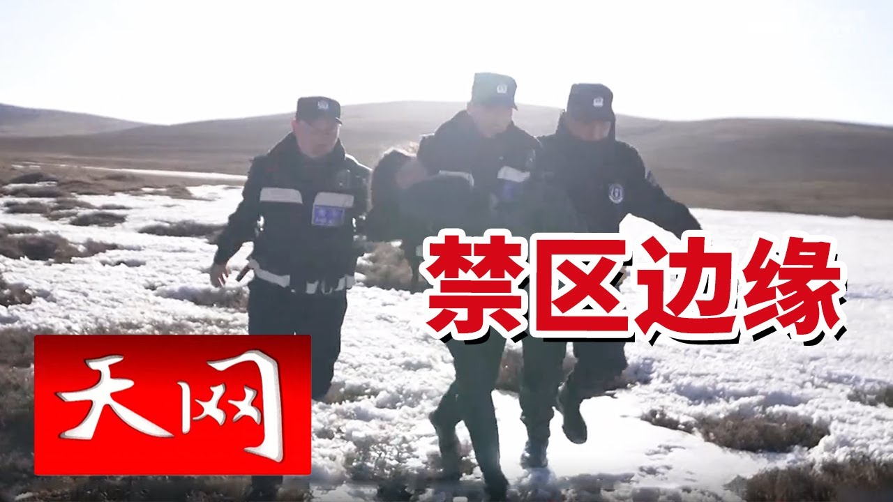 《天网》牧民收牛回家 女儿竟凭空消失！帐篷内只留下...... 20250513