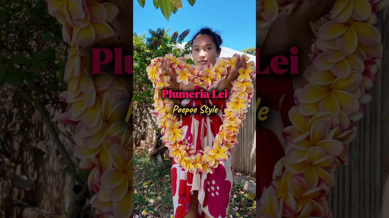 Plumeria Lei Poepoe Style | Lei Making Hawaii