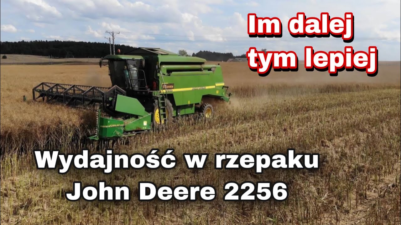 #Żniwa2020 - rzepak roślina która potrafi zdenerwować jak żadna inna/ Kula