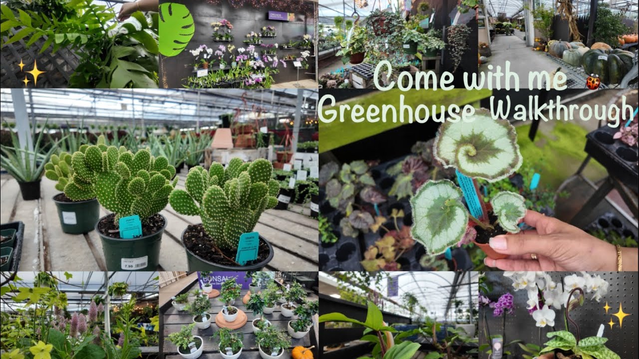 Let's go to a greenhouse | Esbenshade’s Garden Center Fall 2025