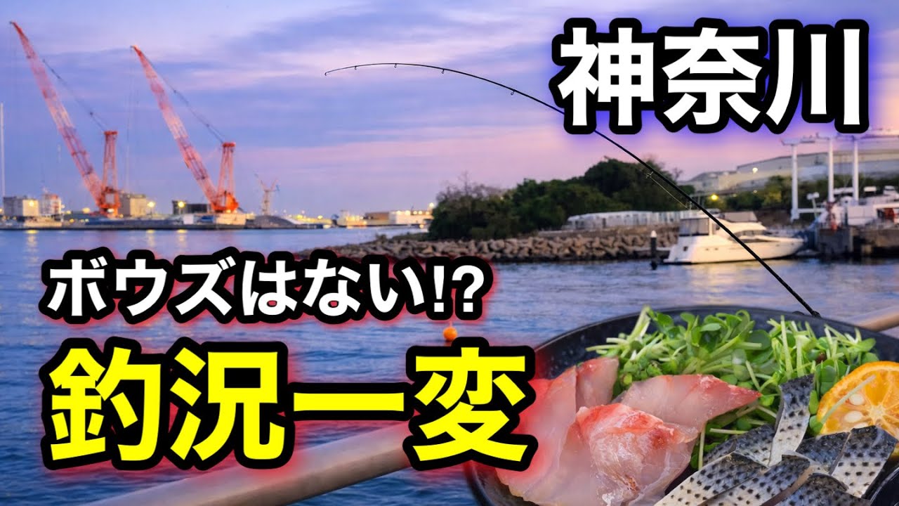 【切り抜き】冬でもボウズはあり得ない⁉︎久しぶりの東京湾は裏切らない