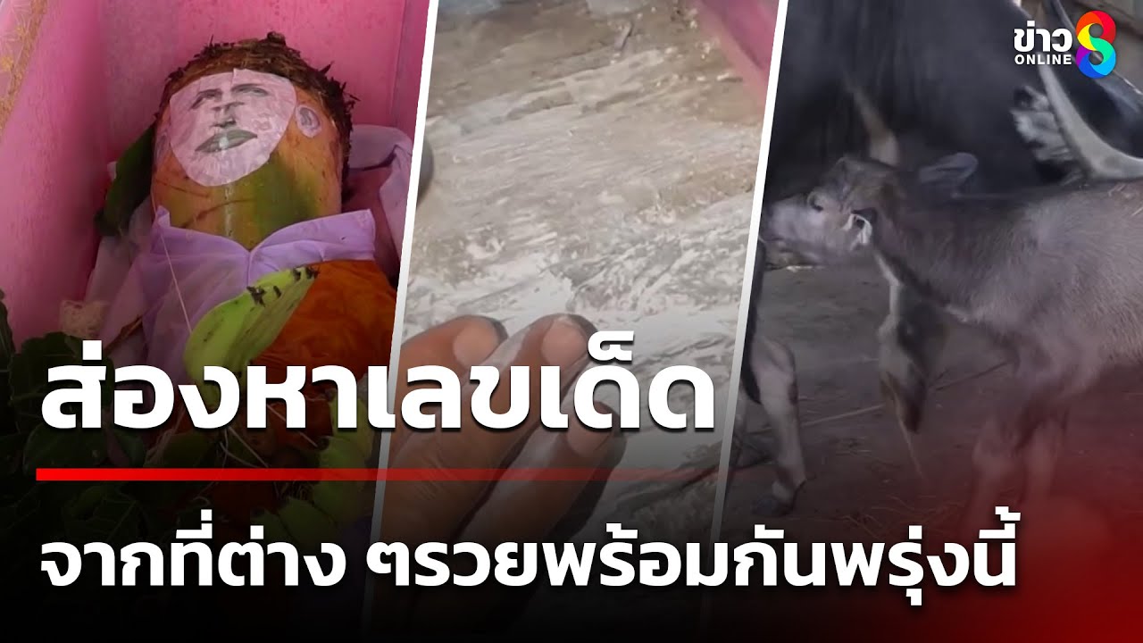 ชาวบ้านเลยไปส่องหาเลขเด็ด จากที่ต่าง ๆ รวยพร้อมกันพรุ่งนี้ | 31 พ.ค. 68 | คุยข่าวเช้าช่อง8