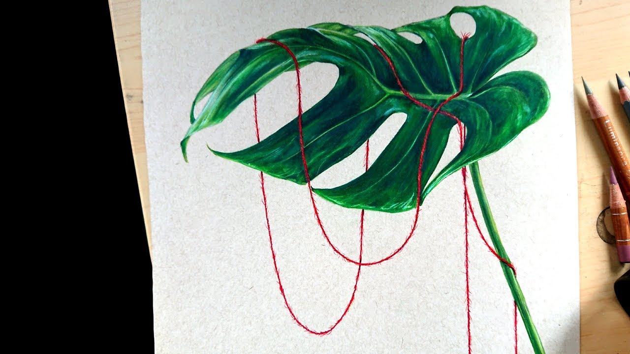 Monstera leaf | MARKERS AND COLORED PENCIL