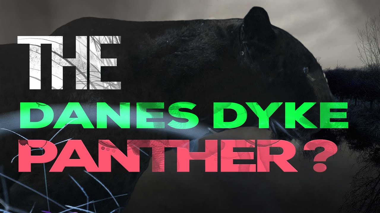 Truth Proof - The Danes Dyke Panther?