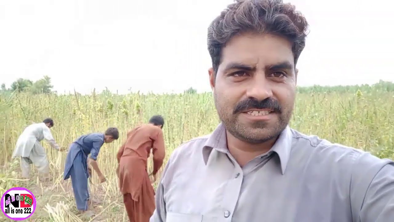 Til ki fasal ki katai village Lifestyle vlog