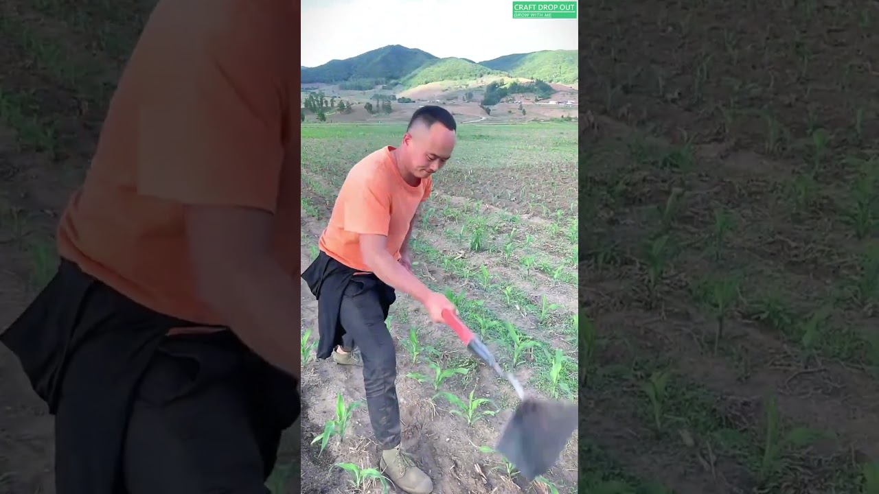 🌿🛠️ Wide V-Blade Soil Shaper for Crop Row Maintenance