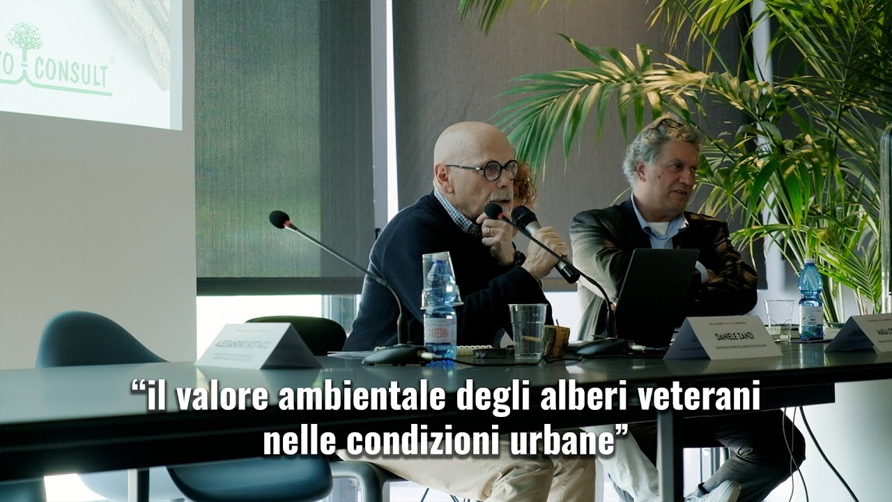 Daniele Zanzi - 
