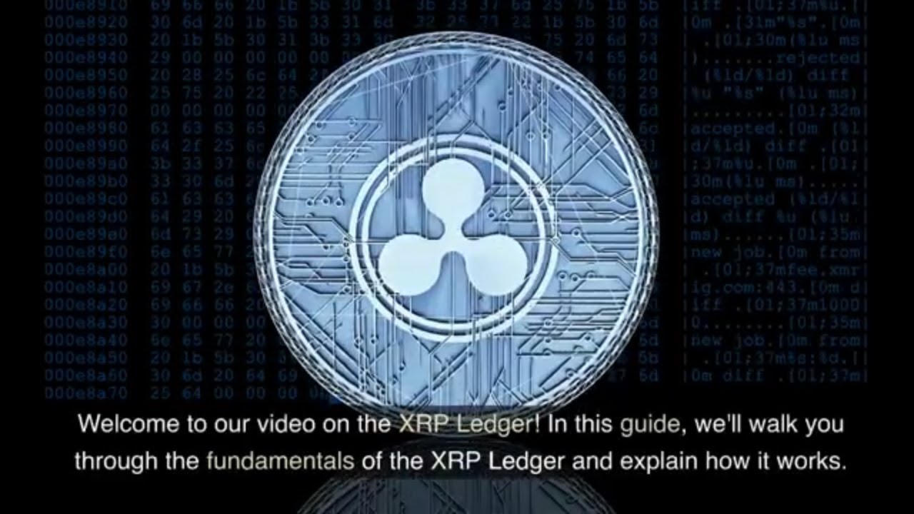 XRP Ledger Explained: A Beginner's Guide to Understanding the Fundamentals