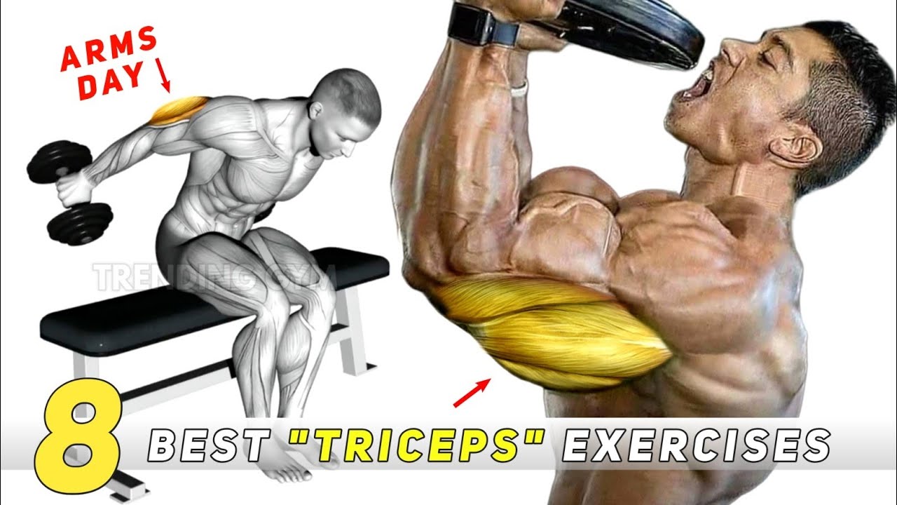 Triceps Exercises - (8 Huge ARMS Exercises Routine)