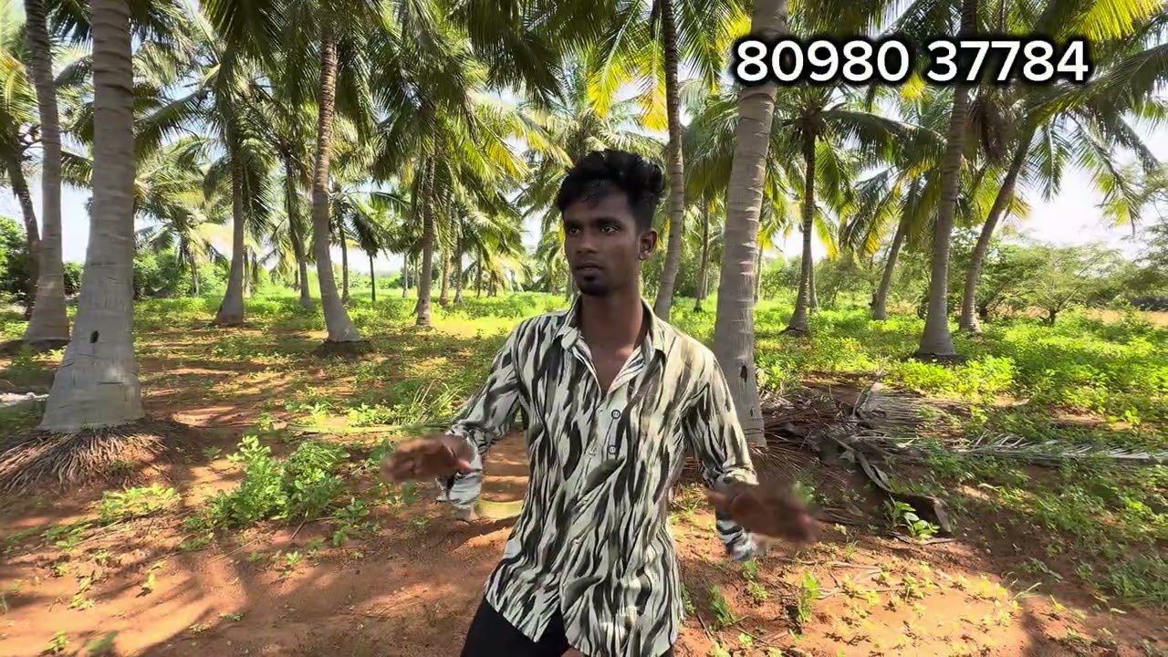 Valliyur Near 2.5 acre land, beautiful Location total 35,00,000 only