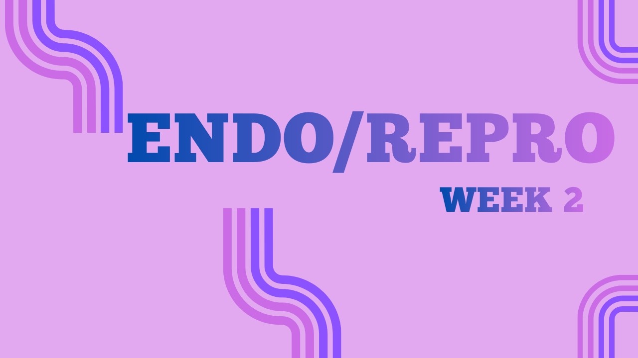 ENDO/REPRO WEEK 2: Hormones, Pregnancy, Labor, and Lactation