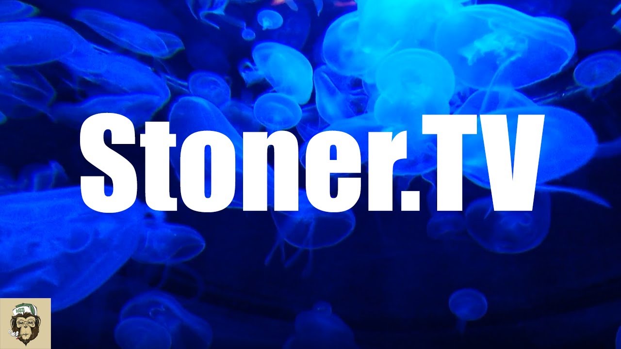 Stoner.TV - Mash UP