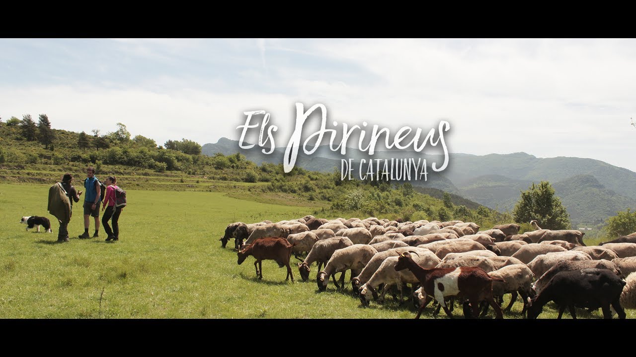 The Catalan Pyrenees