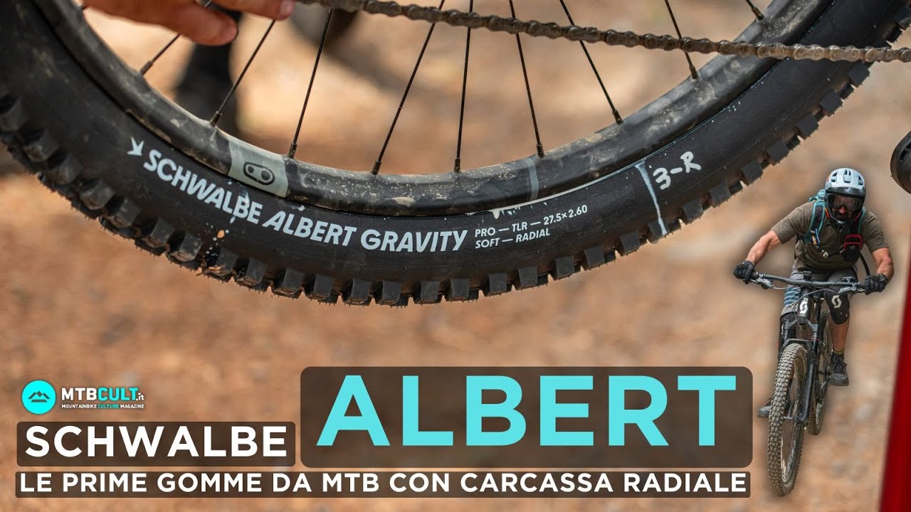 TEST - Gomme Schwalbe Albert: le prime con carcassa radiale