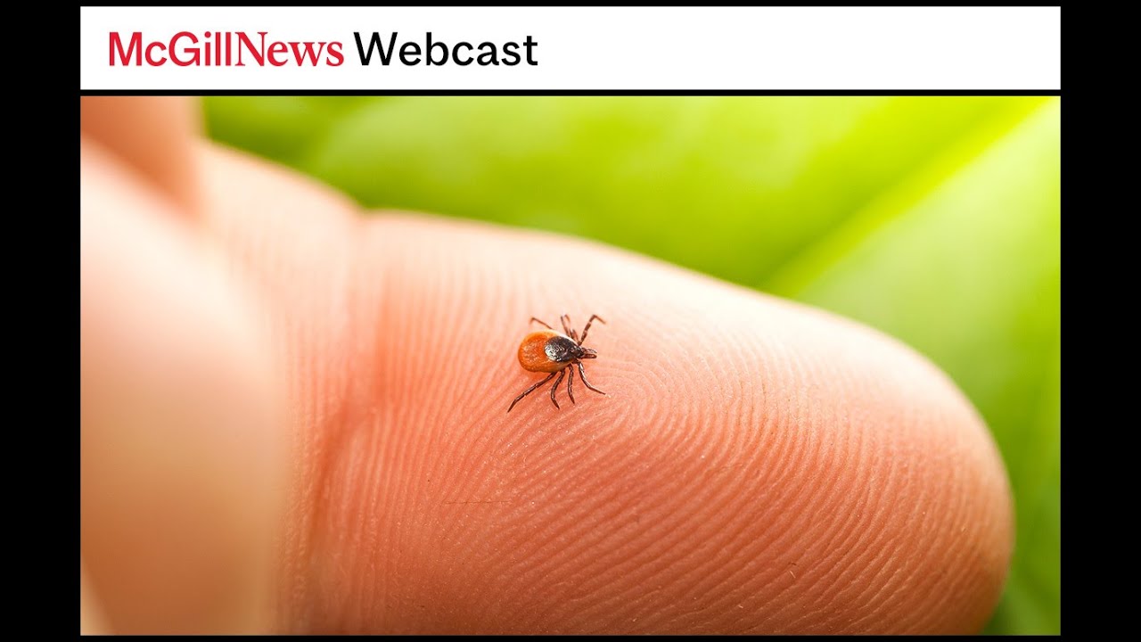 Tick Talk: understanding and preventing tick-borne illnesses