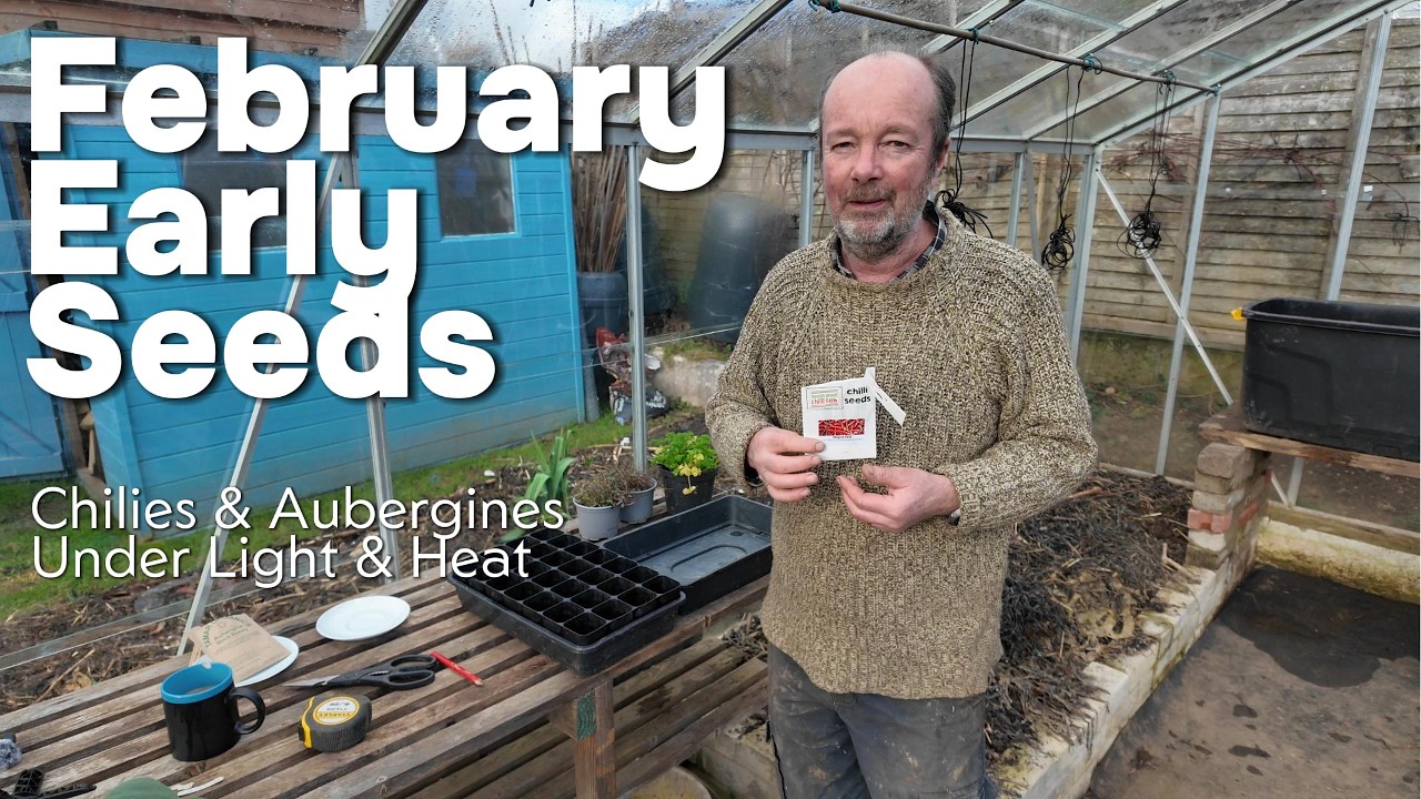 February Seed Planting: Chilies & Aubergines Under Light & Heat