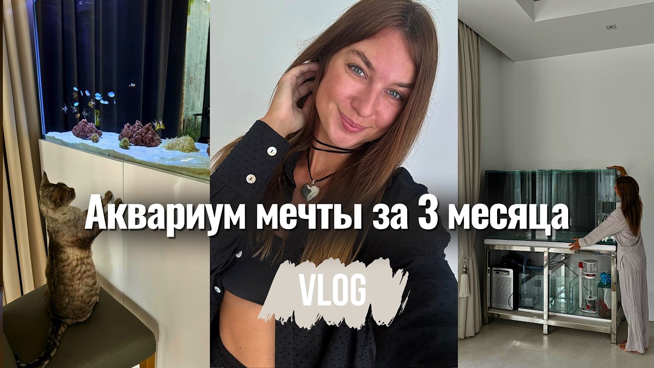 Наш первый морской аквариум: как мы собрали аквариум мечты на Пхукете за 3 месяца