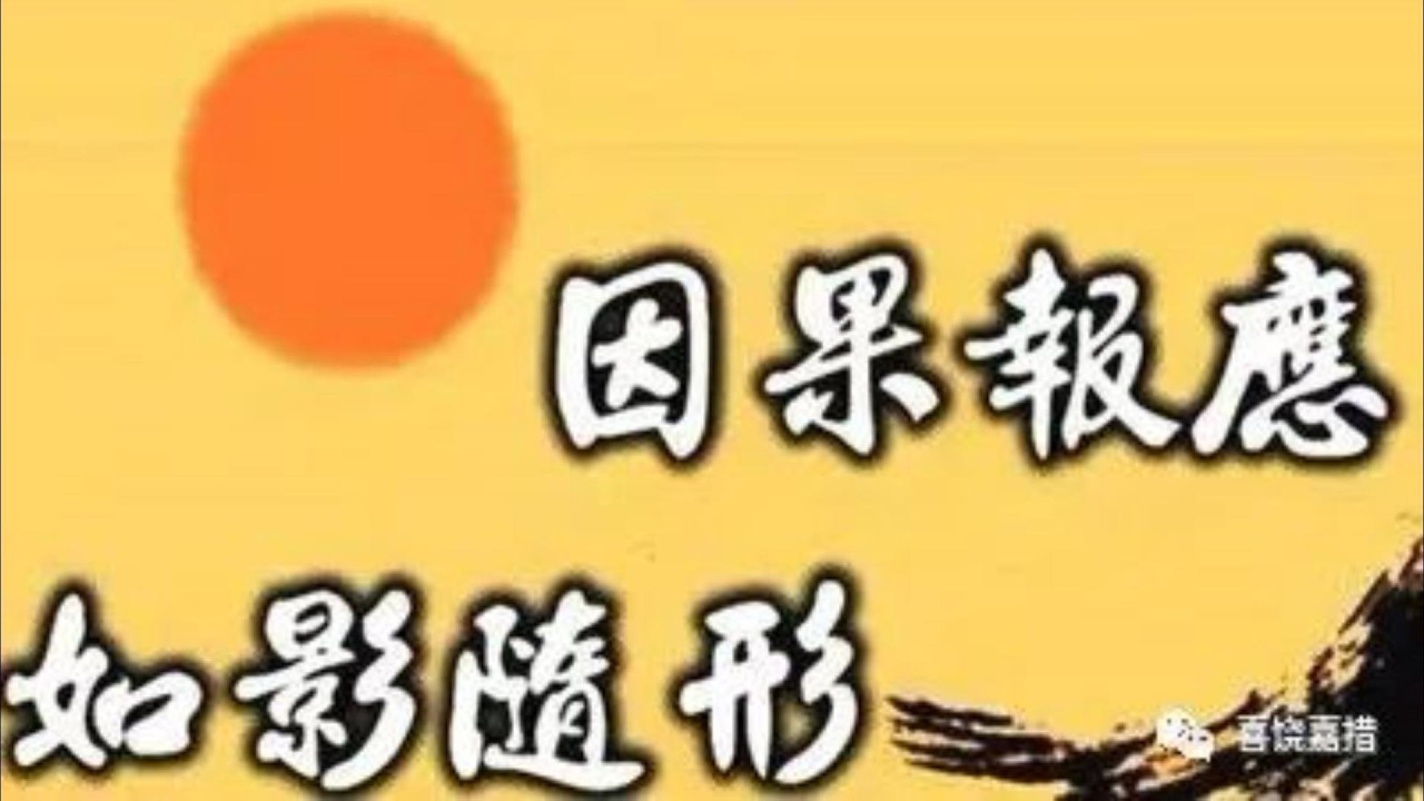 真实因果故事