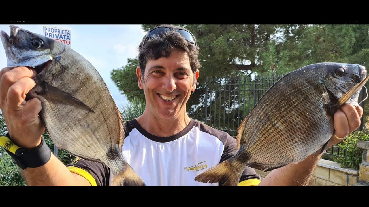 la canna da pesca e i saraghi big che hanno gradito tutte le esche a disposizione! fishing video