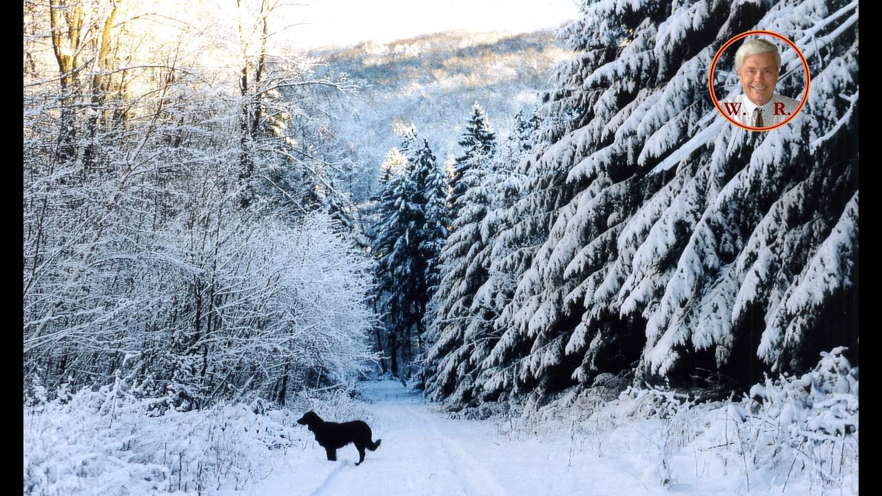 Winterspaziergang