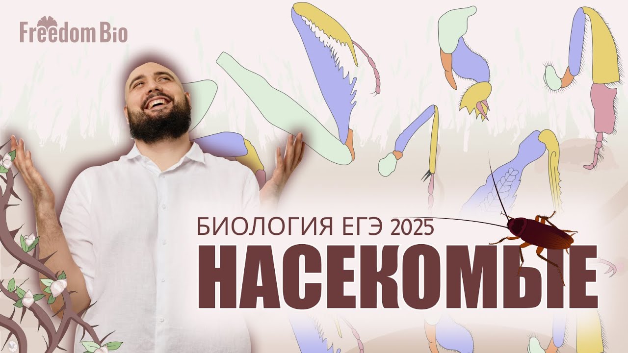 НАСЕКОМЫЕ для ЕГЭ ПО БИОЛОГИИ |Зоология| ЕГЭ БИОЛОГИЯ 2025|Freedom|