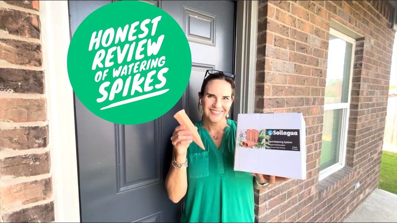 Unboxing and step by step demo on how to use these Lg Terracotta Plant Watering Spikes! #ad