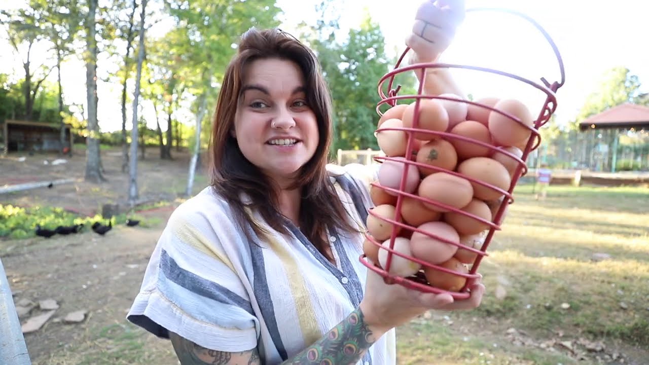 Goat Drama, The Goose Gang, and A LOT of Eggs | VLOG