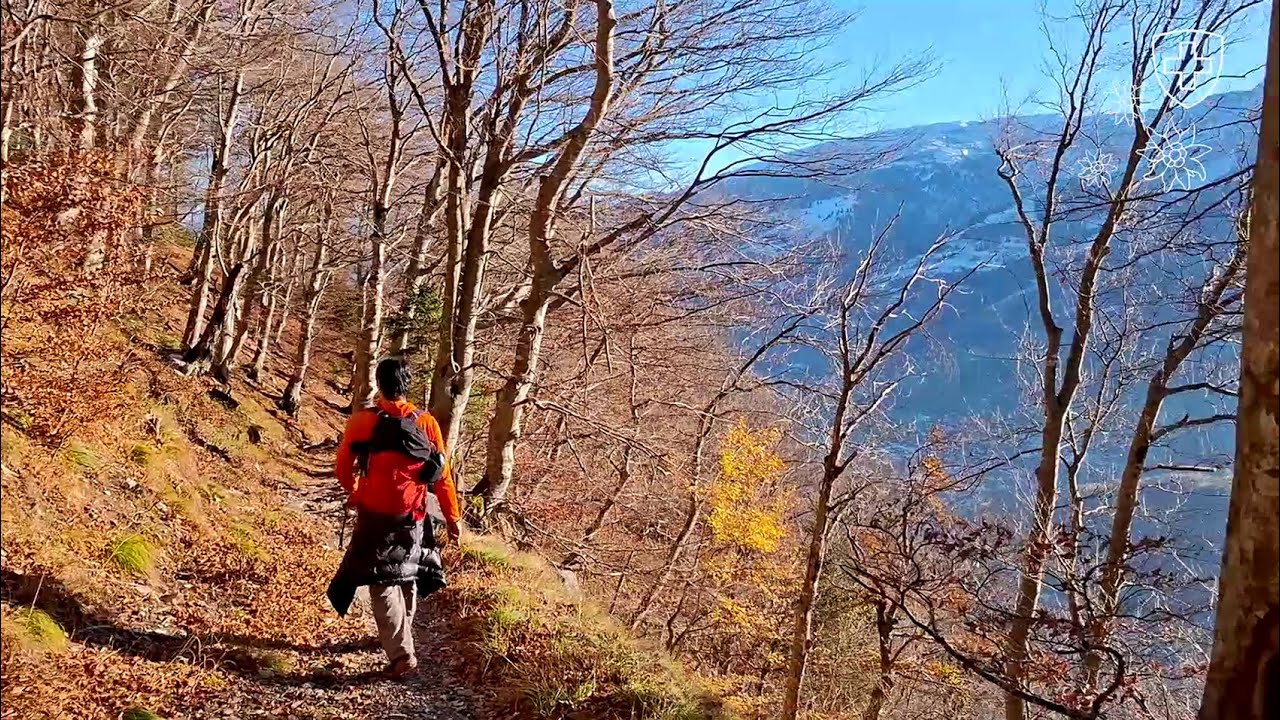 Magical Autumn hike: Descending from Palfries to Heiligkreuz via Spina Trail