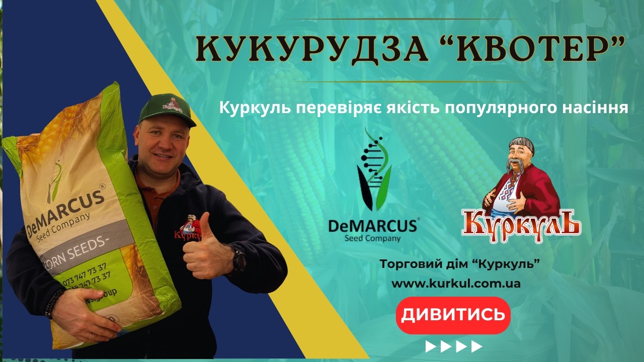 КУКУРУДЗА 