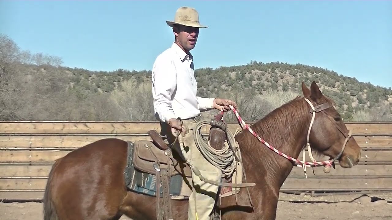How to use the Quirt