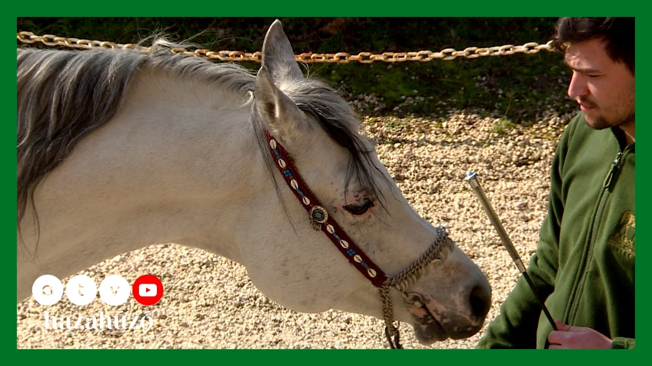 HAZAH&Uacute;Z&Oacute; &ndash; A B&aacute;bolnai Nemzeti M&eacute;nesbirtok