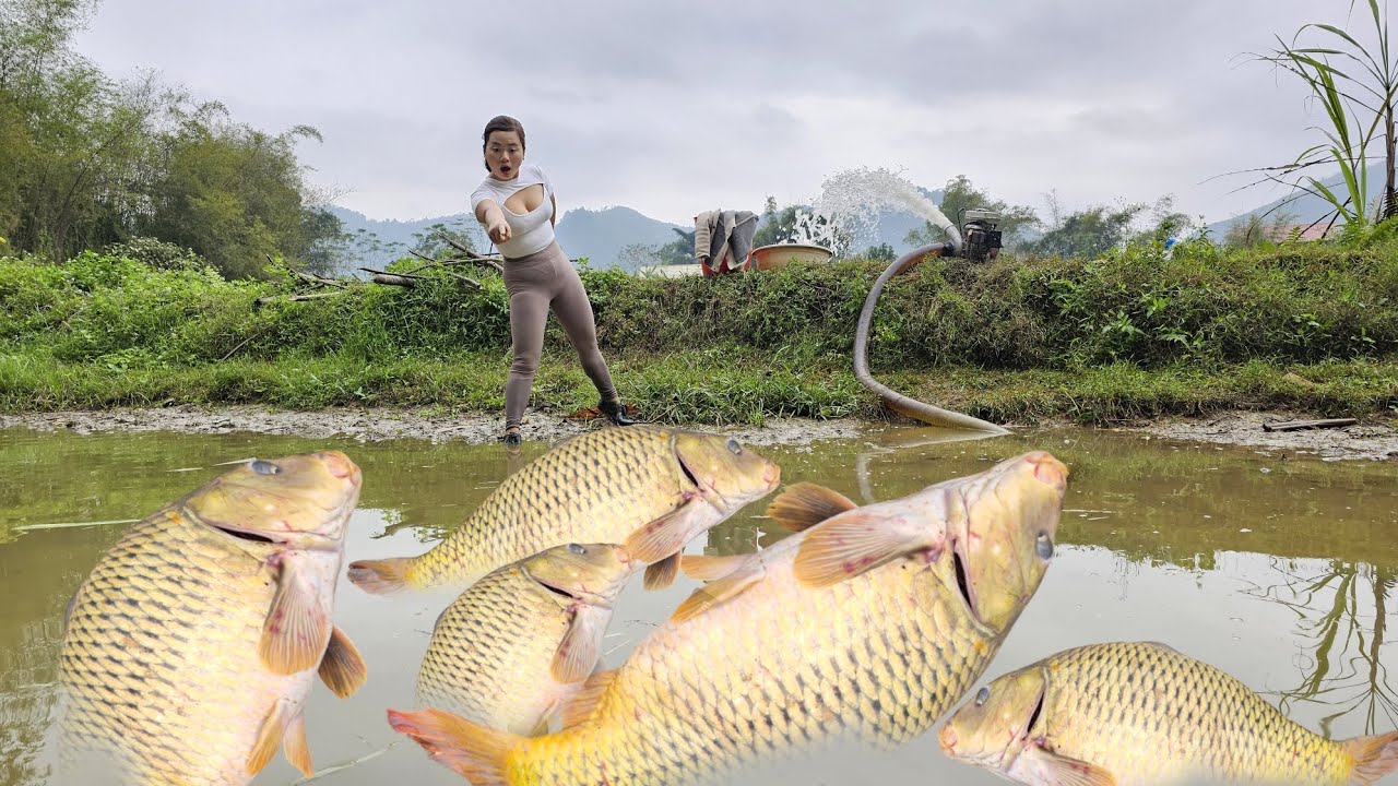 Catching fish/Thanks to the pump that sucks water out of the lake,you can catch many big fish