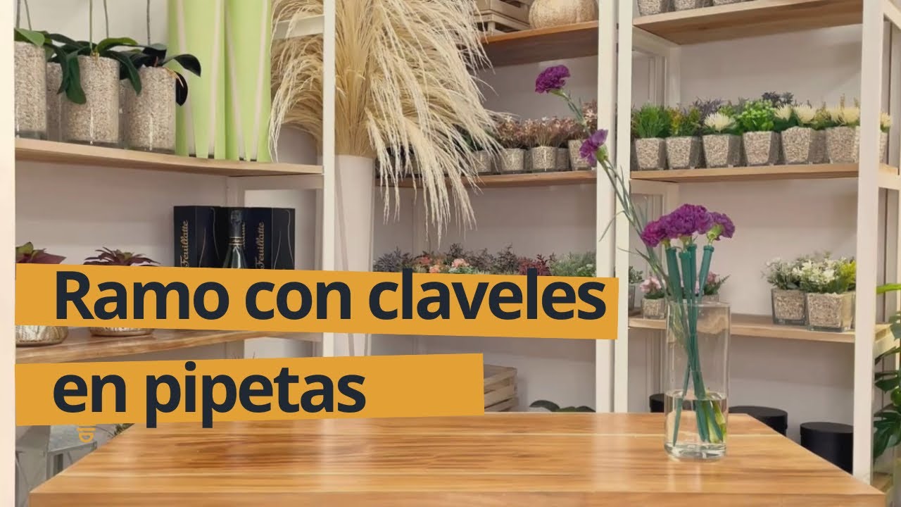 Ramo con claveles en pipetas y gypsophila
