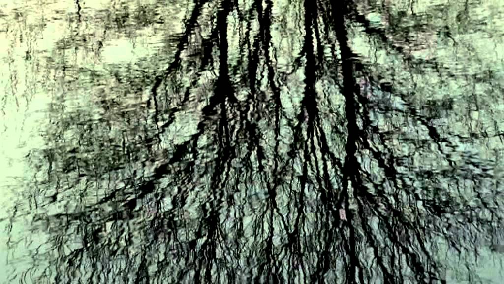 Terramossa trailer