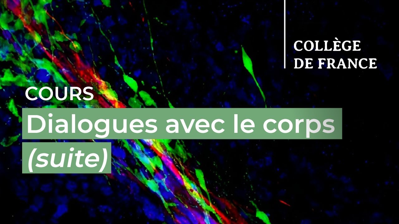 Dialogues avec le corps... (1) - Sonia Garel (2025-2026)