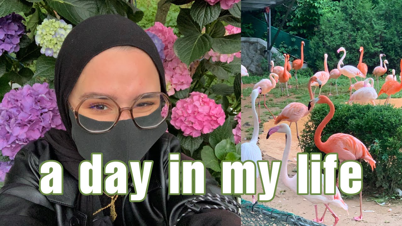 a day in my life : going to Seoul Grand Park - VLOG