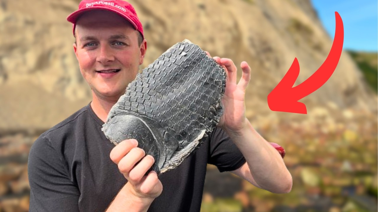 Ископаемая РЫБА! — Jurassic Fossil Hunter