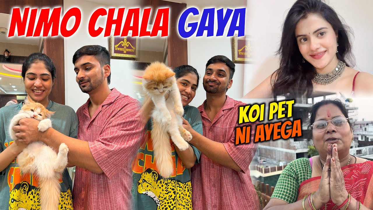 Nimo chala gaya , mummy ne kia saaf mana