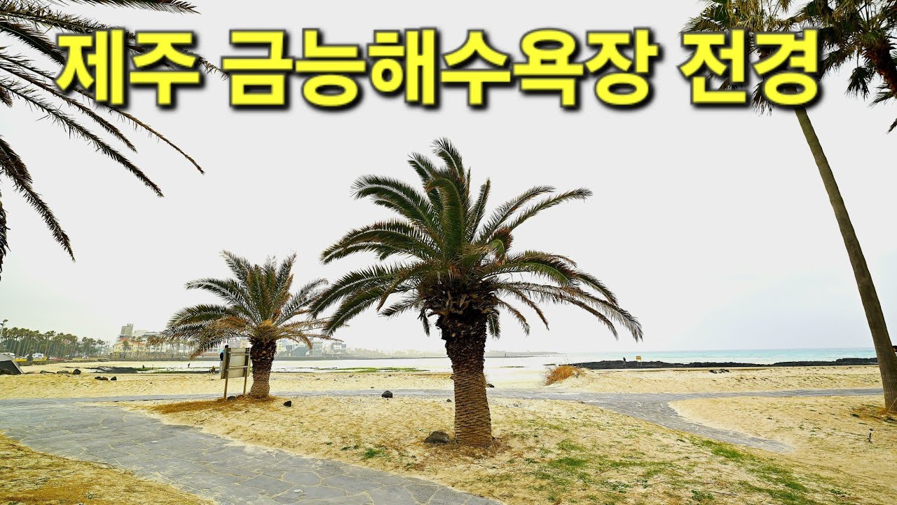 2026년 2월, 제주시 한림읍 지역의 해안 풍경을 시청해 주셔서 진심으로 감사드립니다. 구독과 좋아요, 알림 설정까지 부탁드리며, 구독은 무료로 제공되고 있습니다.
