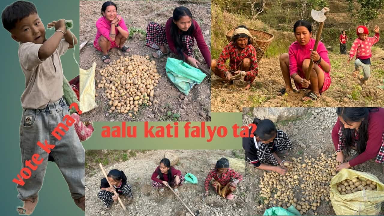 Aaj hami Aalu khandai Aalu Kati niskiyo hola ta hai hernuhos pura video @Ranavlog2000 