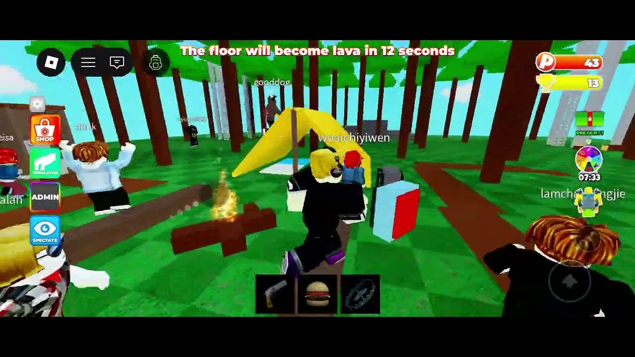Main roblox